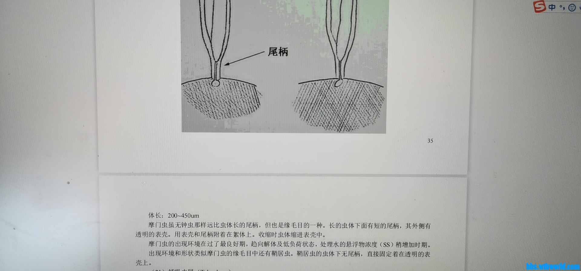 wechat_upload163874881961ad529367d0d