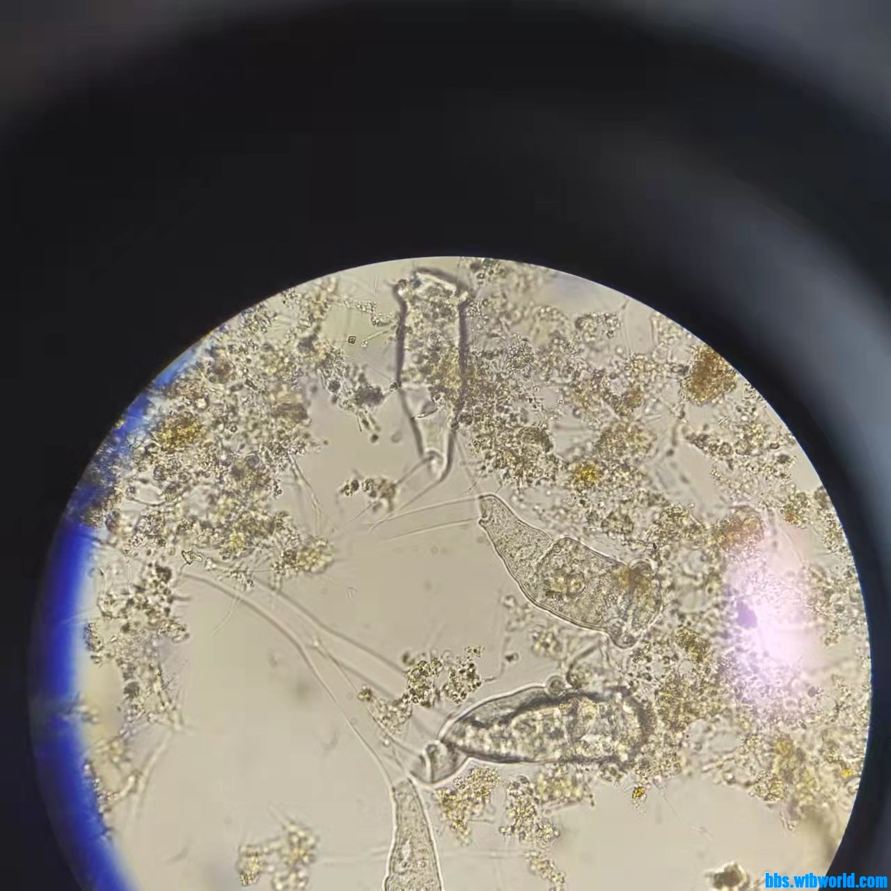 wechat_upload163876228261ad872ac665e