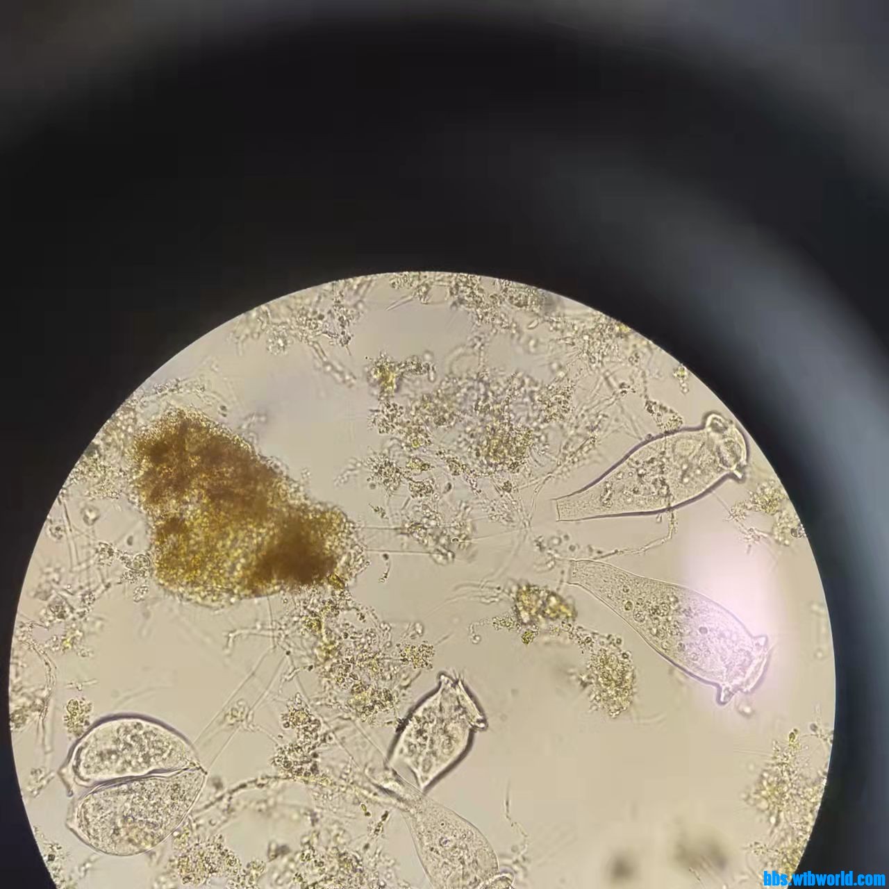 wechat_upload163876228361ad872b1943d