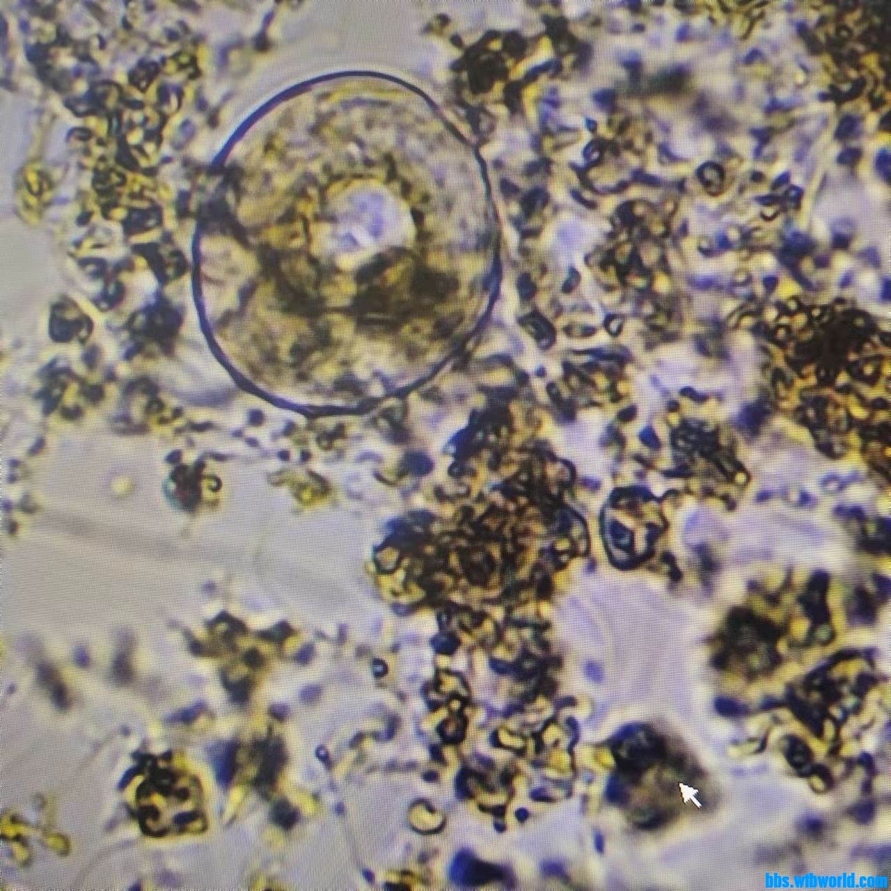 wechat_upload163876508861ad9220ea941