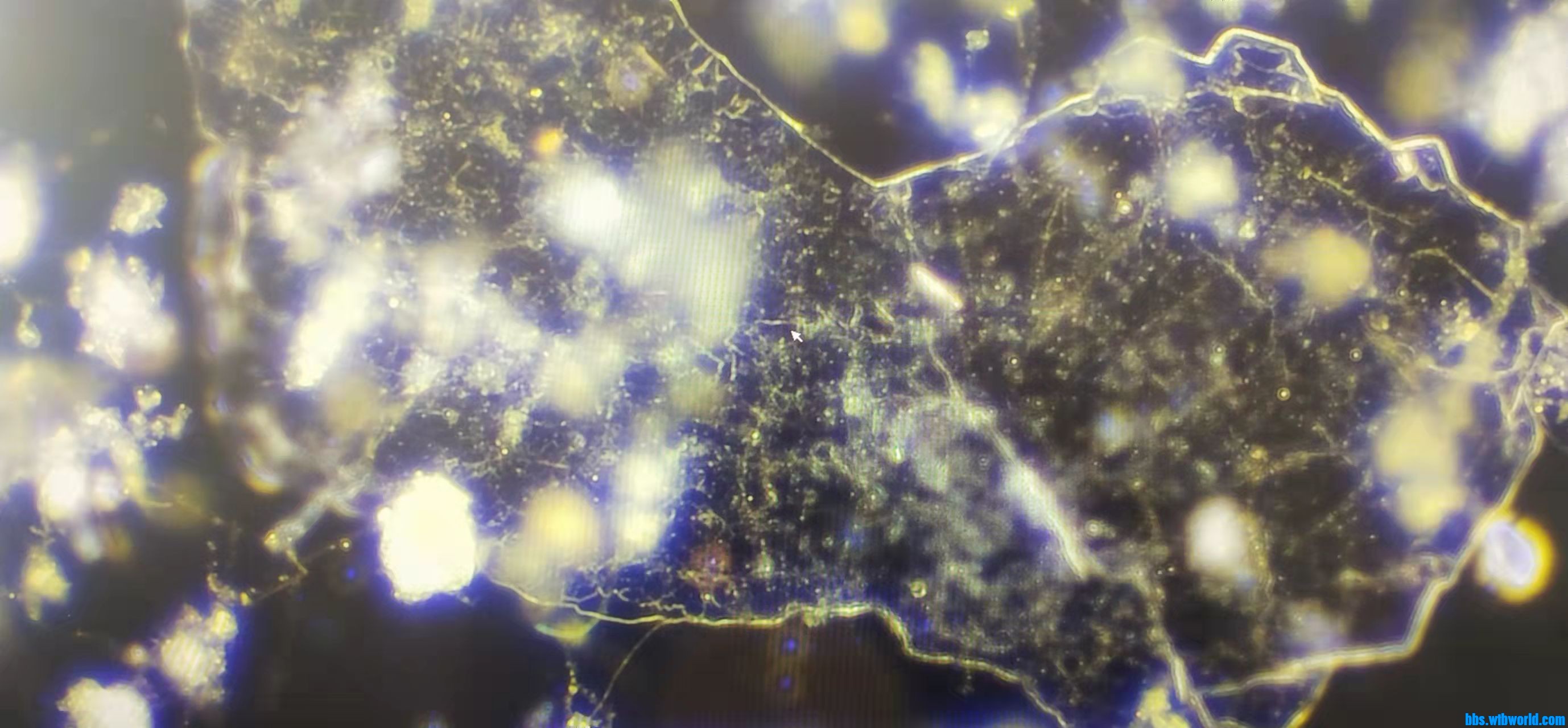 wechat_upload163876639461ad973af4034