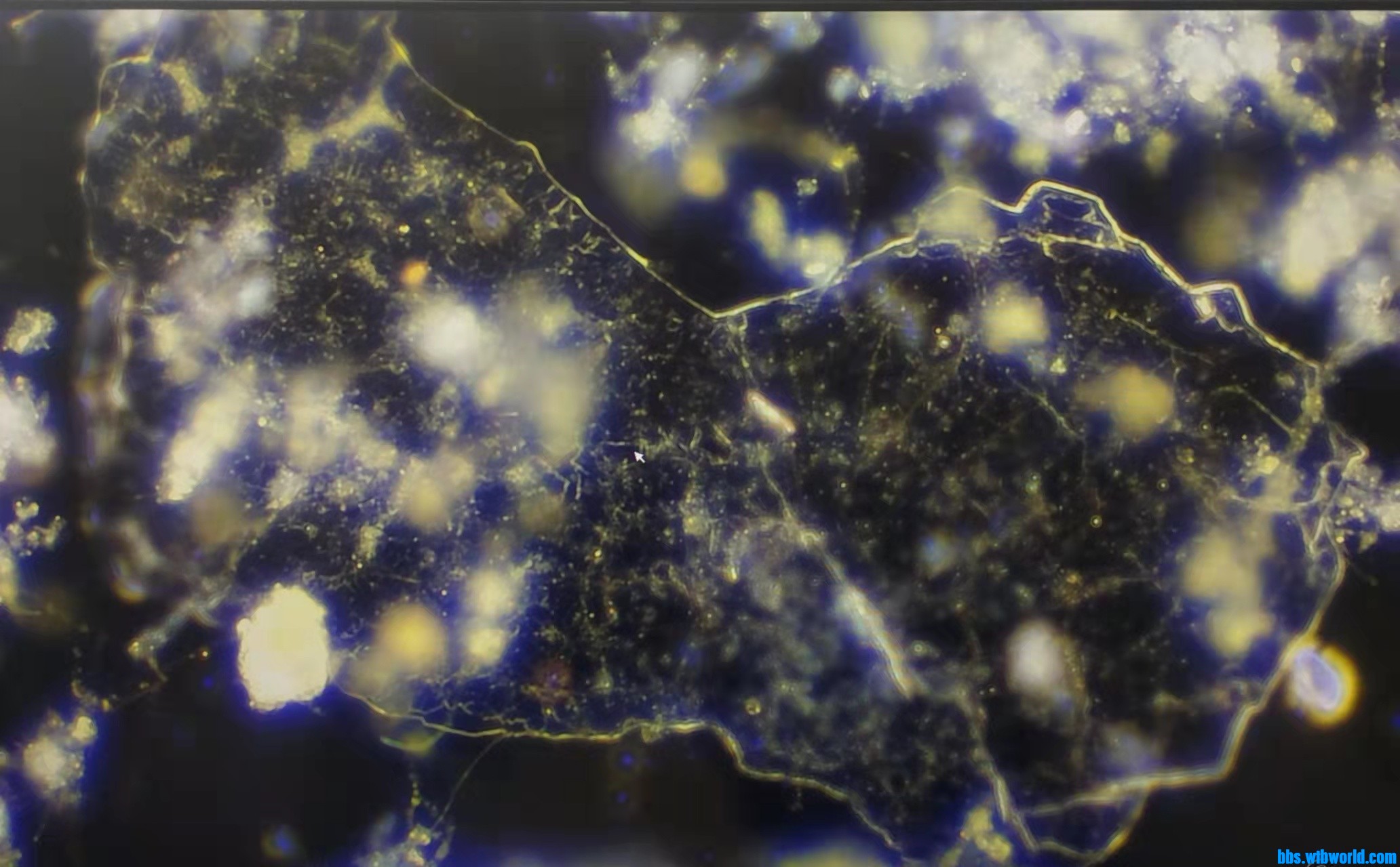 wechat_upload163876639561ad973bd8956