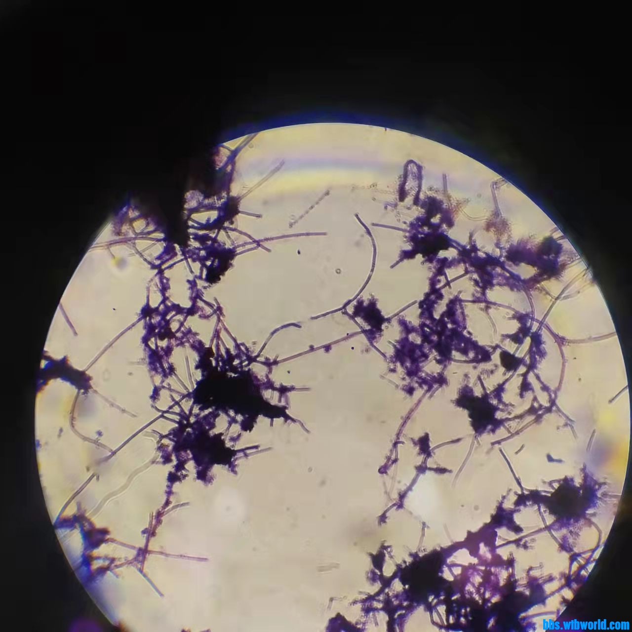 wechat_upload163876766861ad9c34c391f