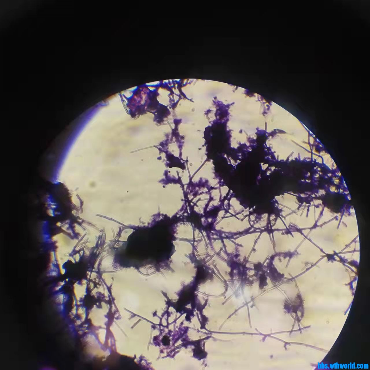 wechat_upload163876766961ad9c35f1403