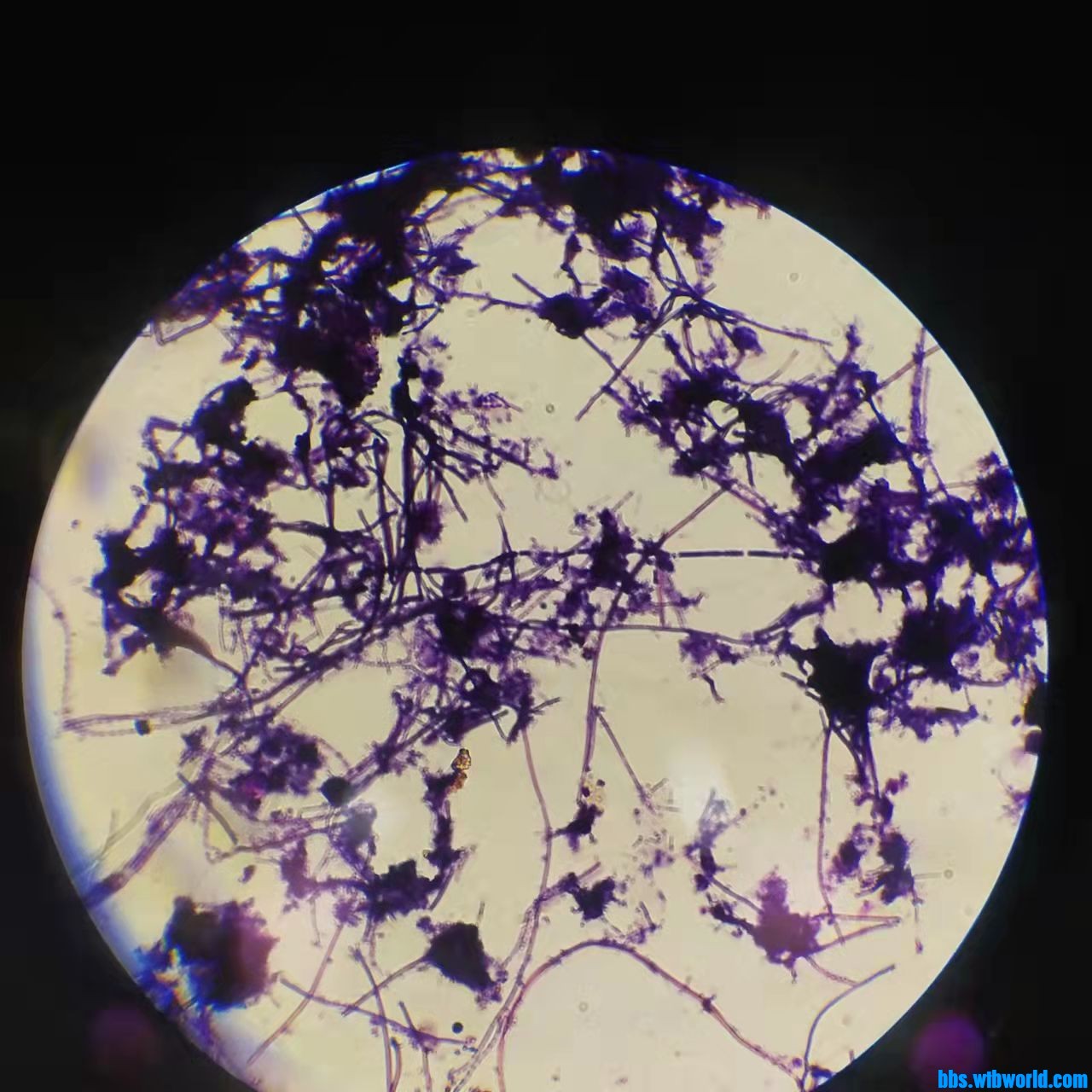 wechat_upload163876767061ad9c369ac9d