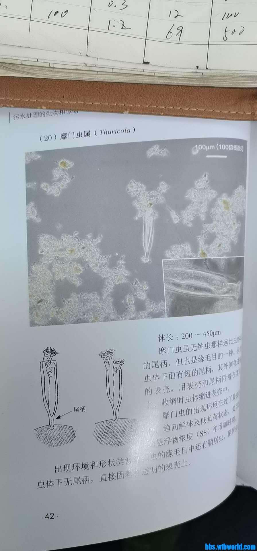 wechat_upload163884220961aebf6144e75