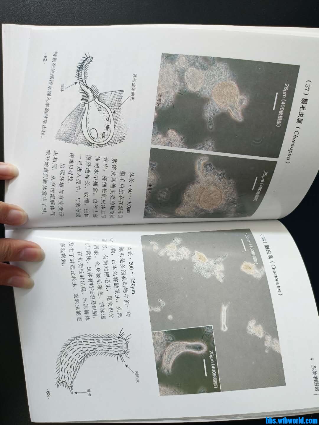 wechat_upload163884896361aed9c379eee