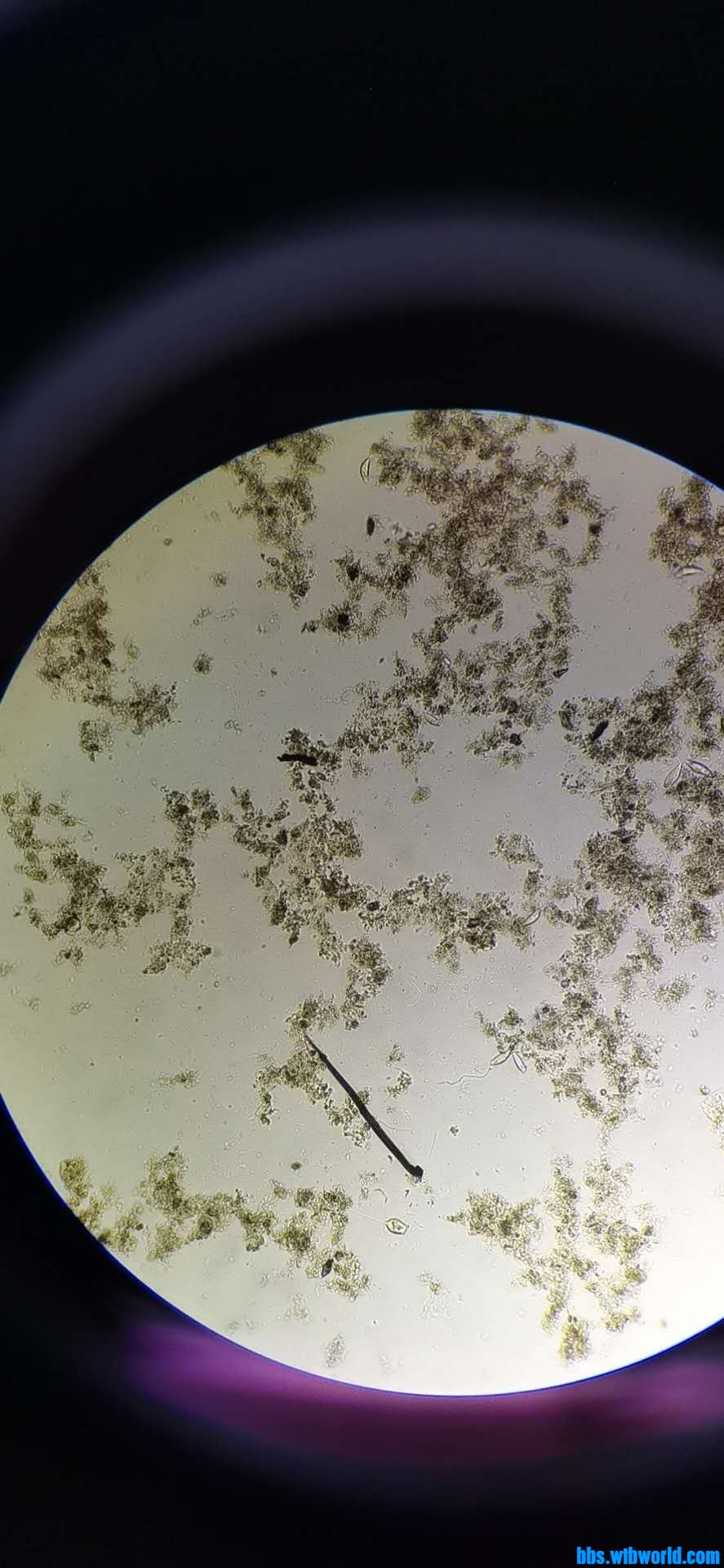 wechat_upload163885986061af0454b7fe0