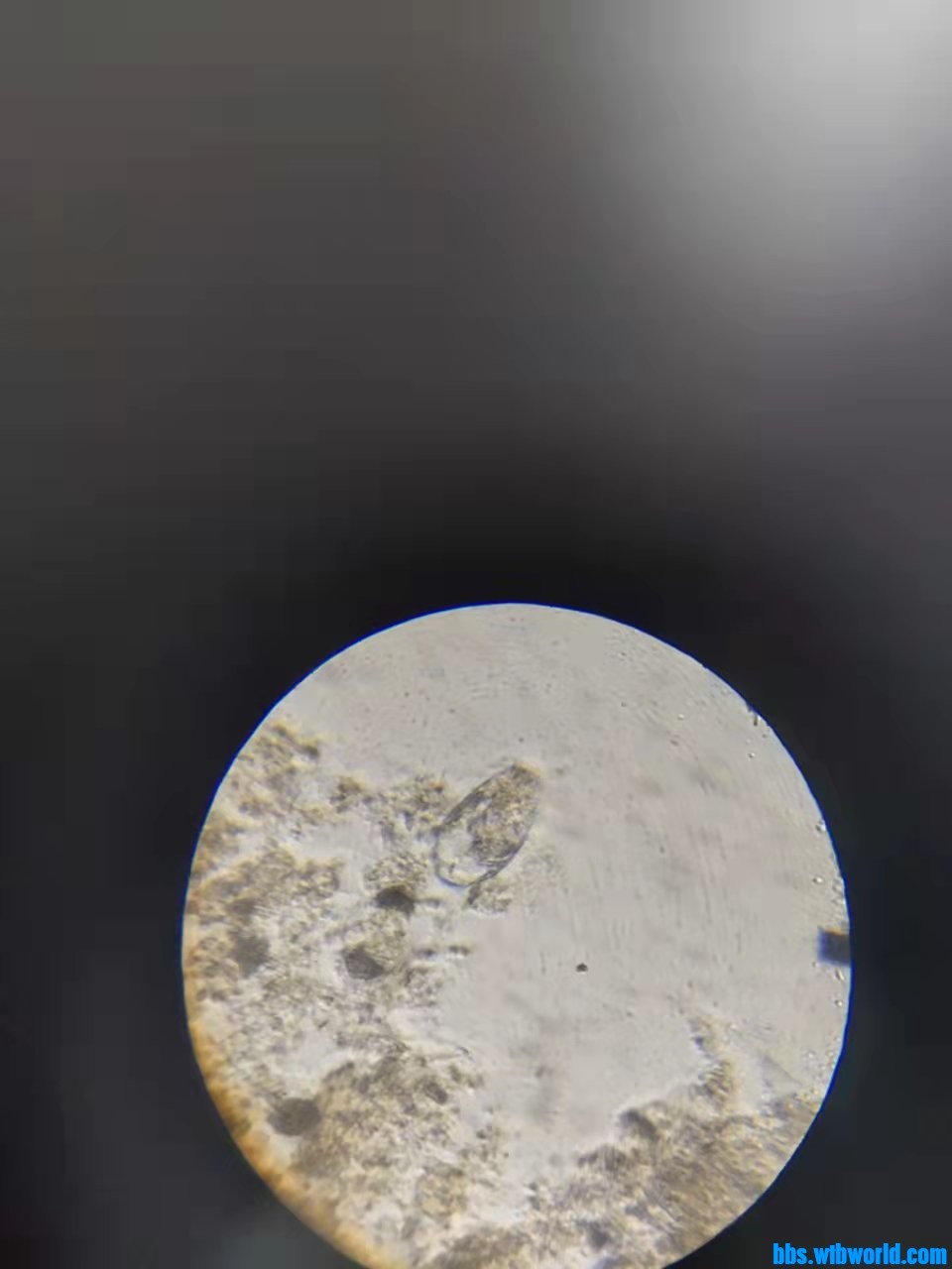 wechat_upload163901933961b1734b4ea52