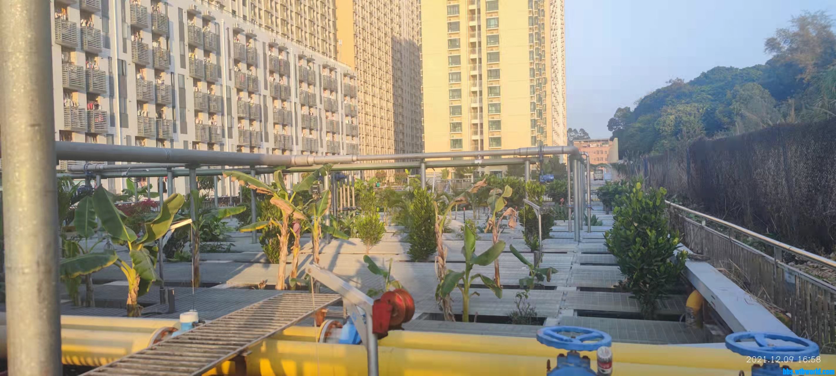 wechat_upload163904033661b1c55000398