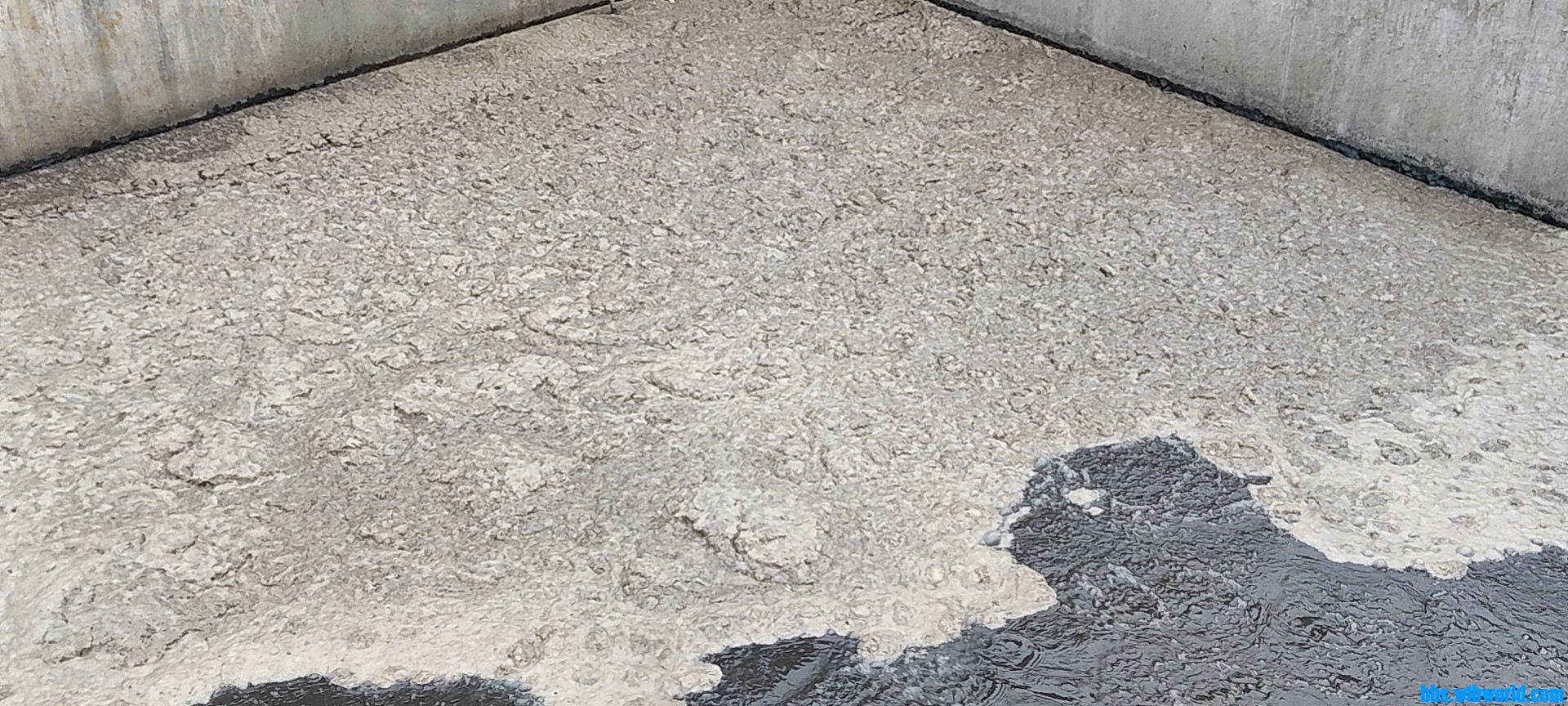 wechat_upload163909840861b2a828e14ab