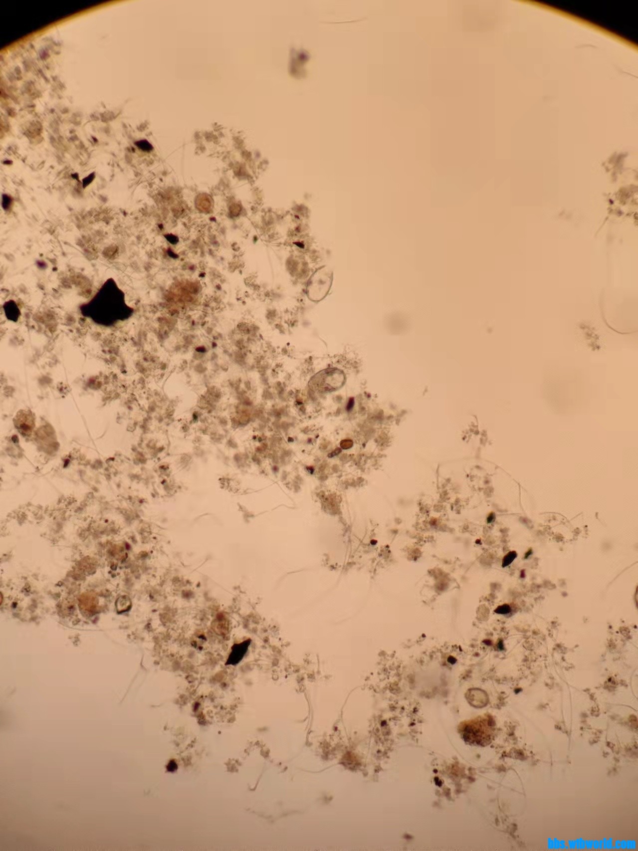 wechat_upload163909847561b2a86b949a8