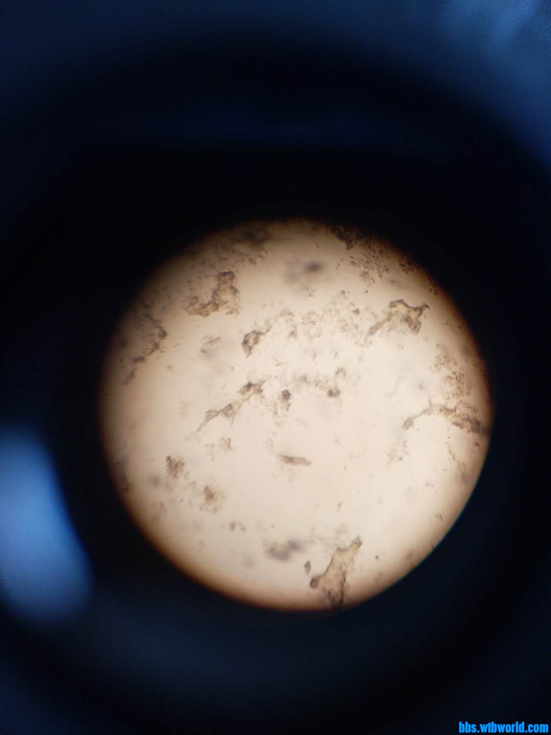 wechat_upload163920426561b445a9c9480