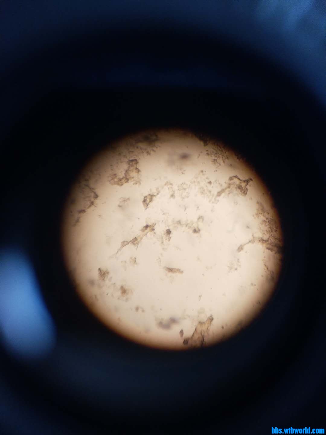 wechat_upload163920426661b445aa80019