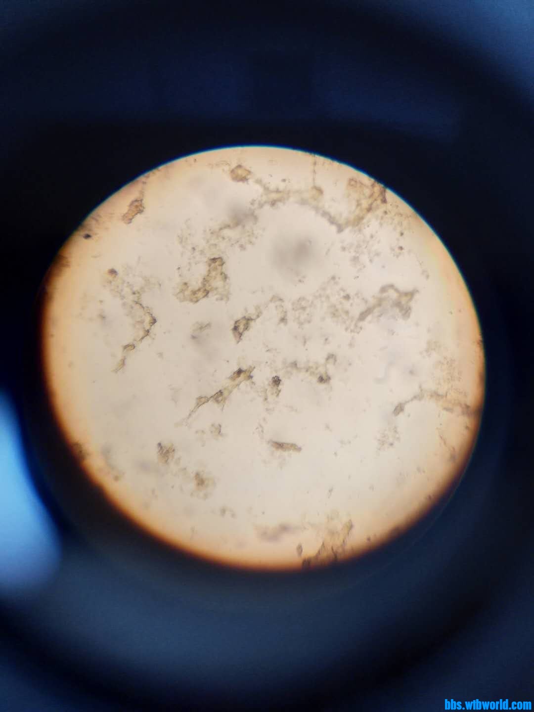 wechat_upload163920426661b445aa49812