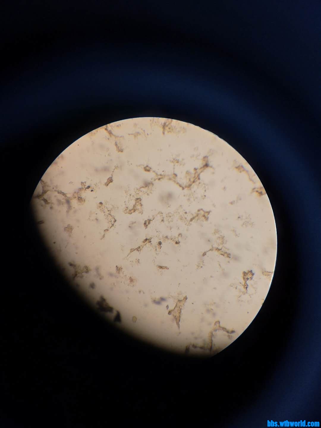 wechat_upload163920426661b445aaba44a