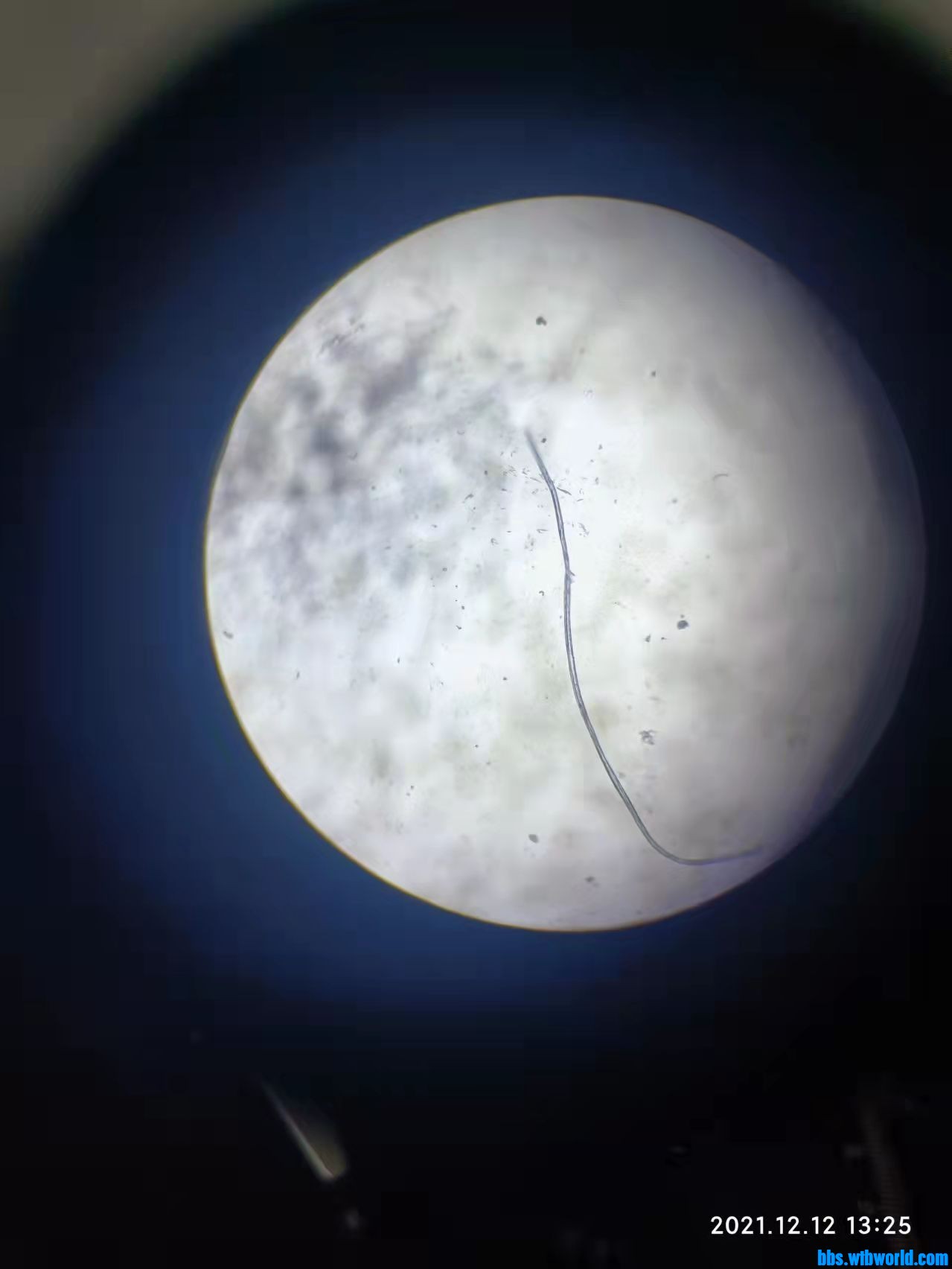 wechat_upload163928884761b5900f1e24c