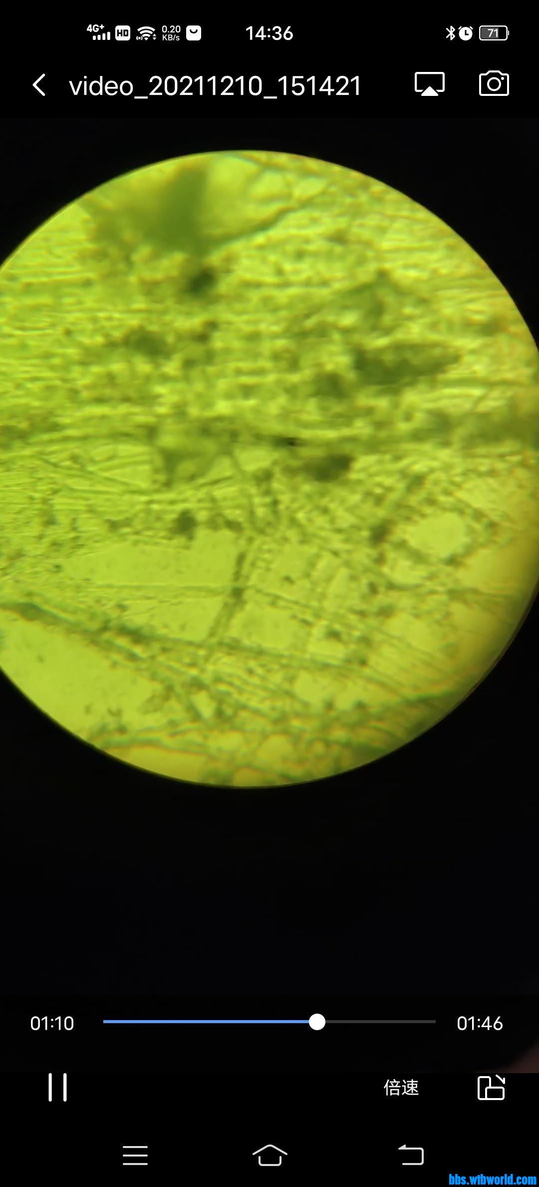 wechat_upload163929114761b5990b849f4