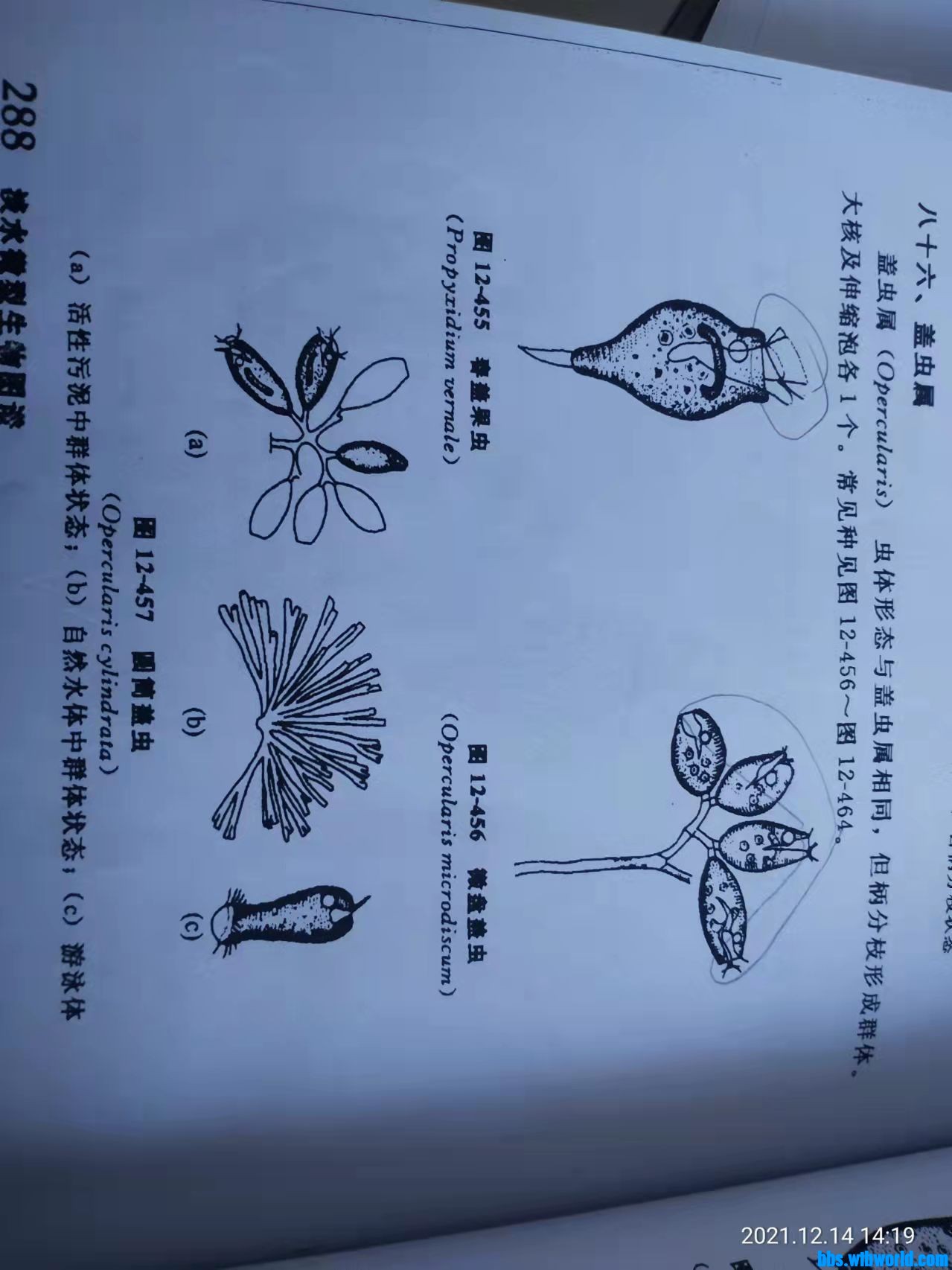 wechat_upload163946279961b8378f85822