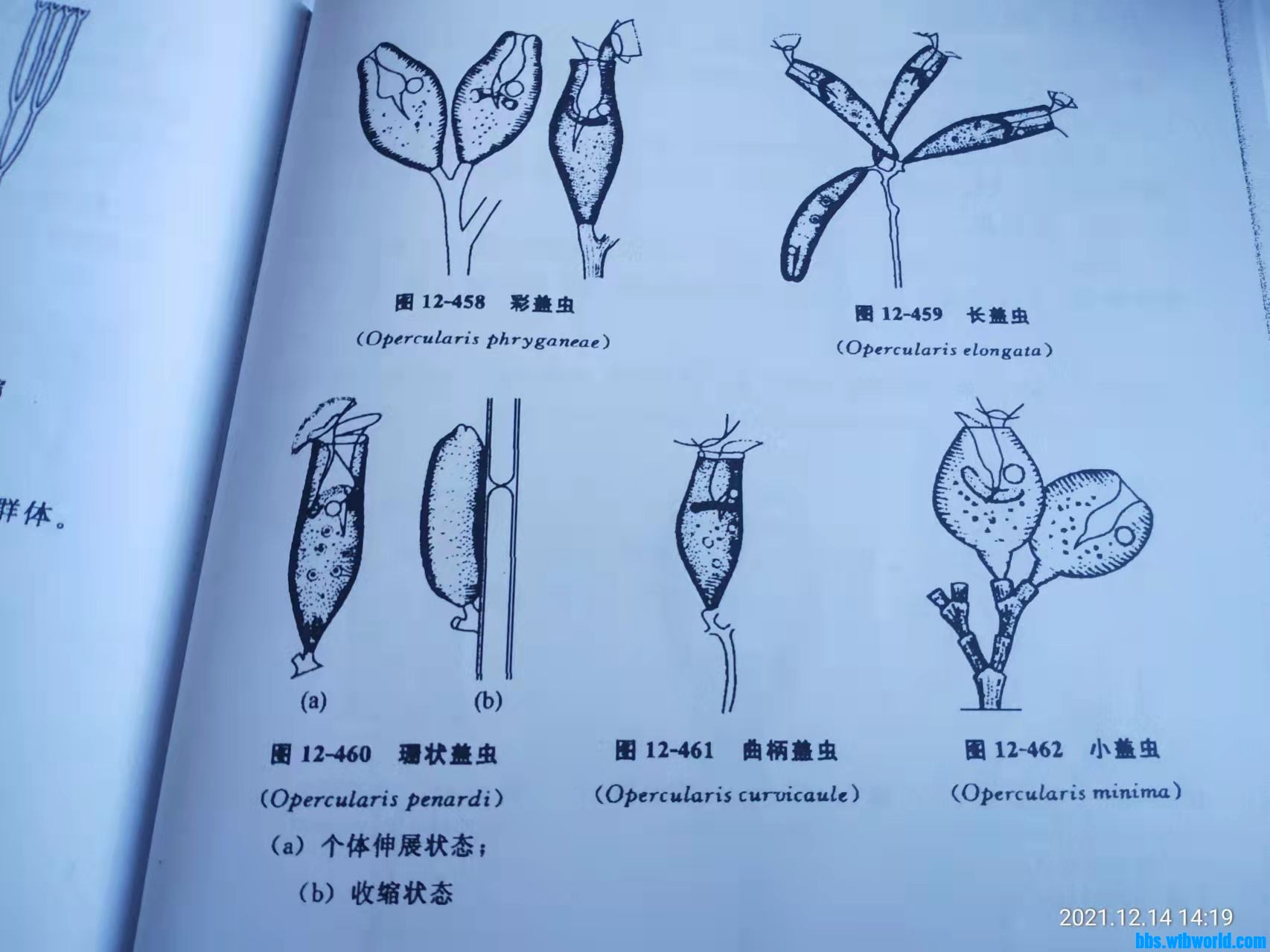 wechat_upload163946279961b8378fdd565