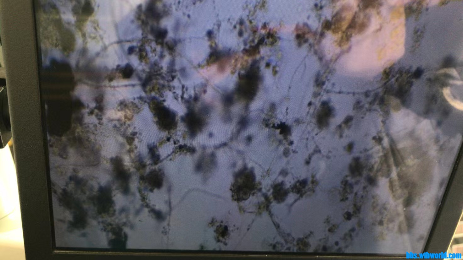 wechat_upload163956463561b9c55b903dc