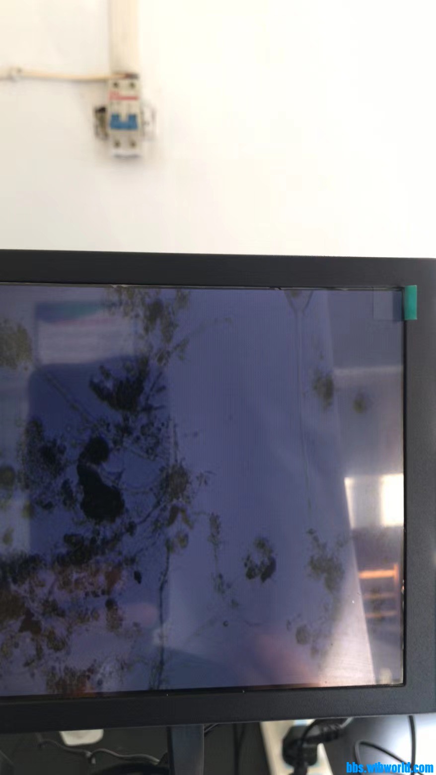 wechat_upload163956463561b9c55bcb36d