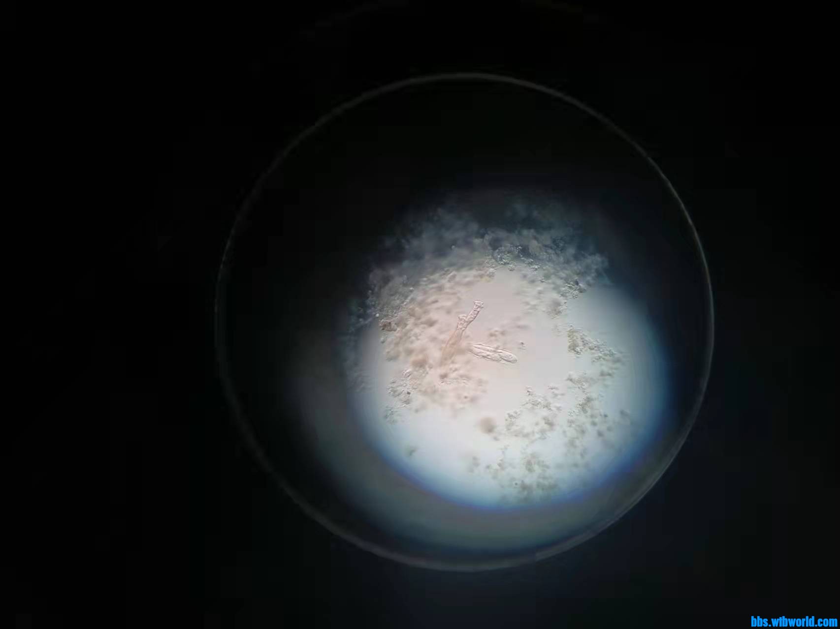 wechat_upload163997859461c01662ad027