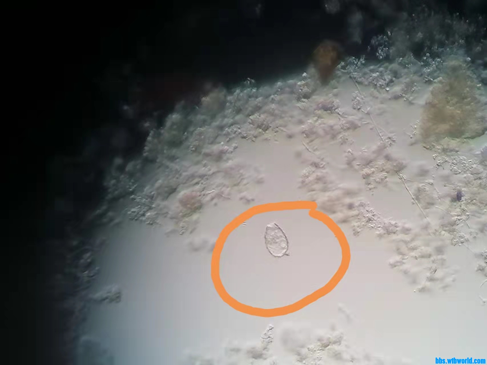 wechat_upload163997863861c0168ece1db