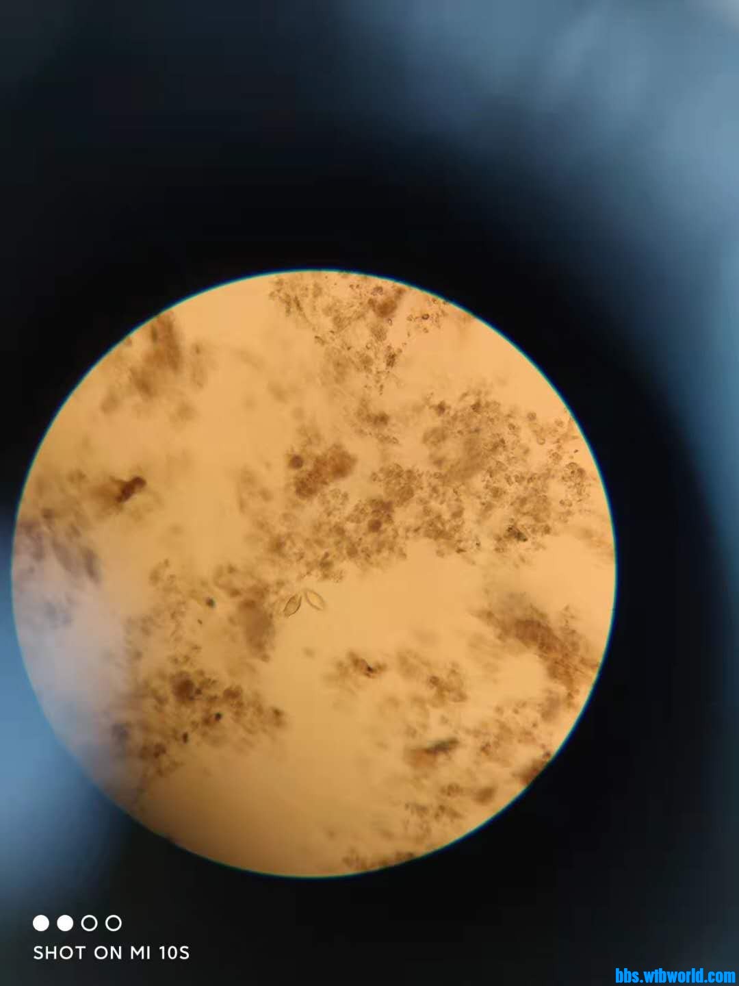 wechat_upload163998858661c03d6aa9200