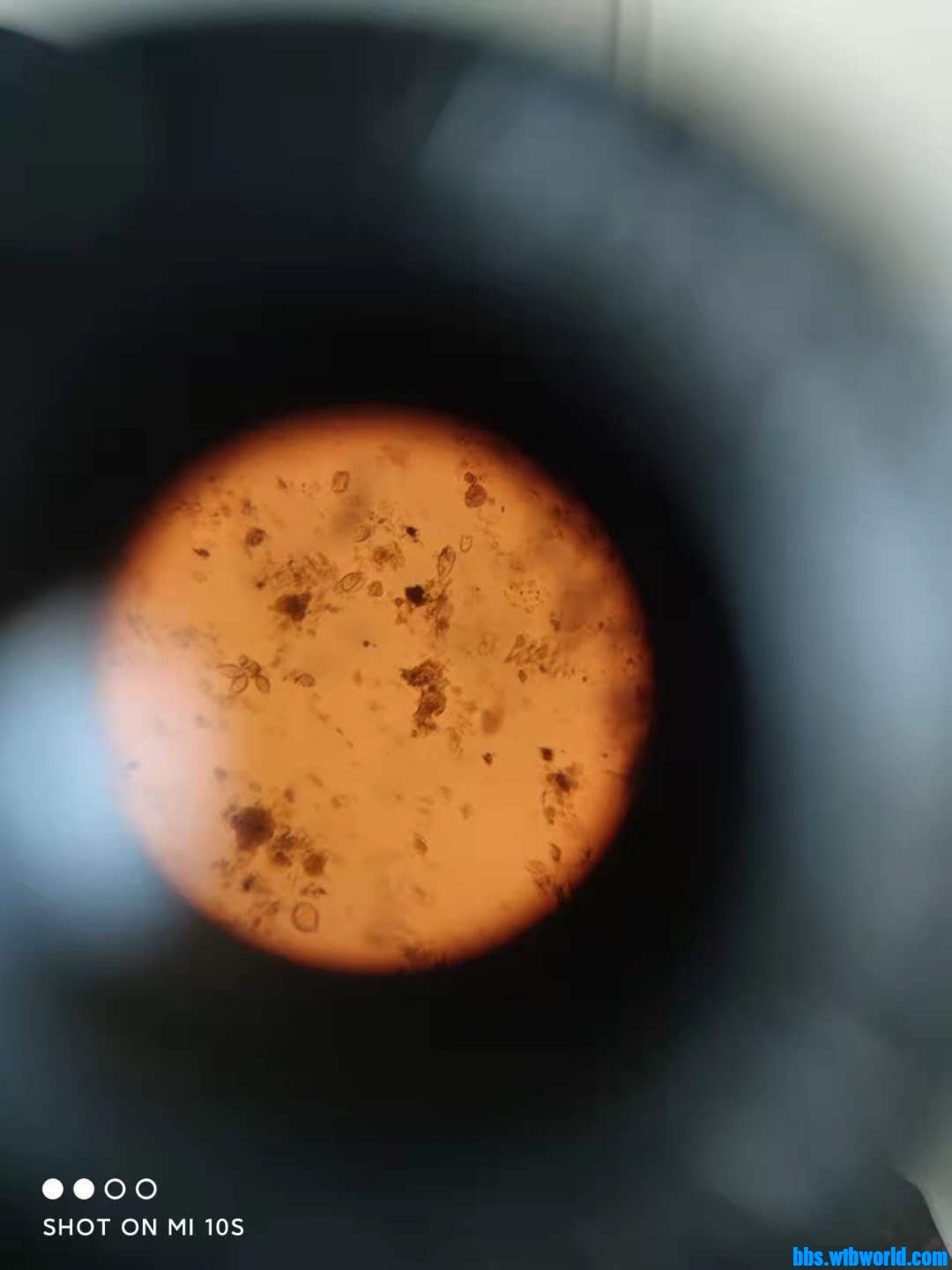 wechat_upload163998858661c03d6a276d1