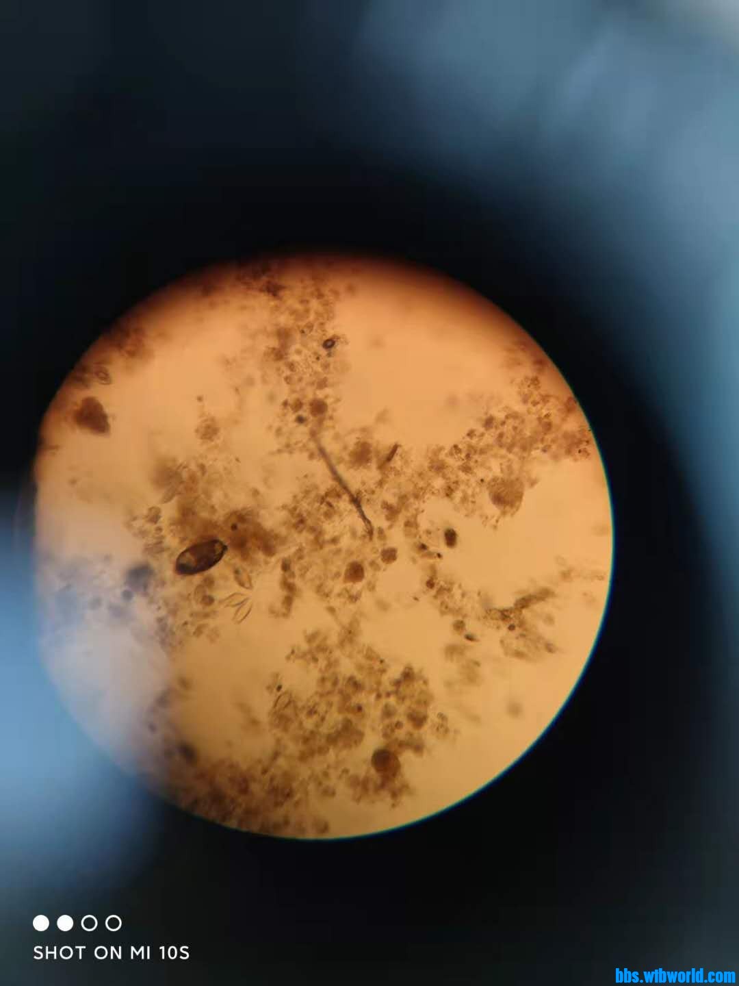 wechat_upload163998858661c03d6a68dd6