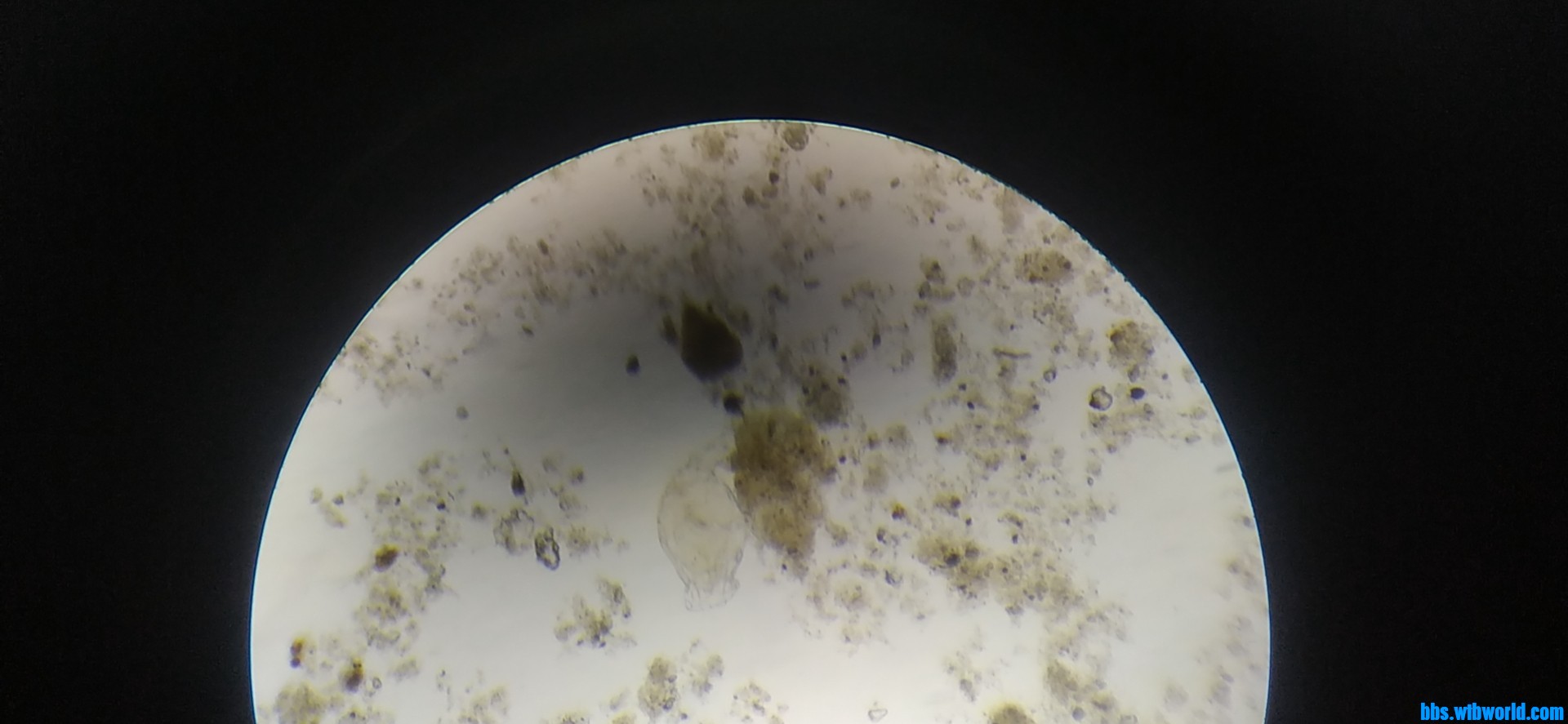 wechat_upload164014337261c29a0c9eaf5