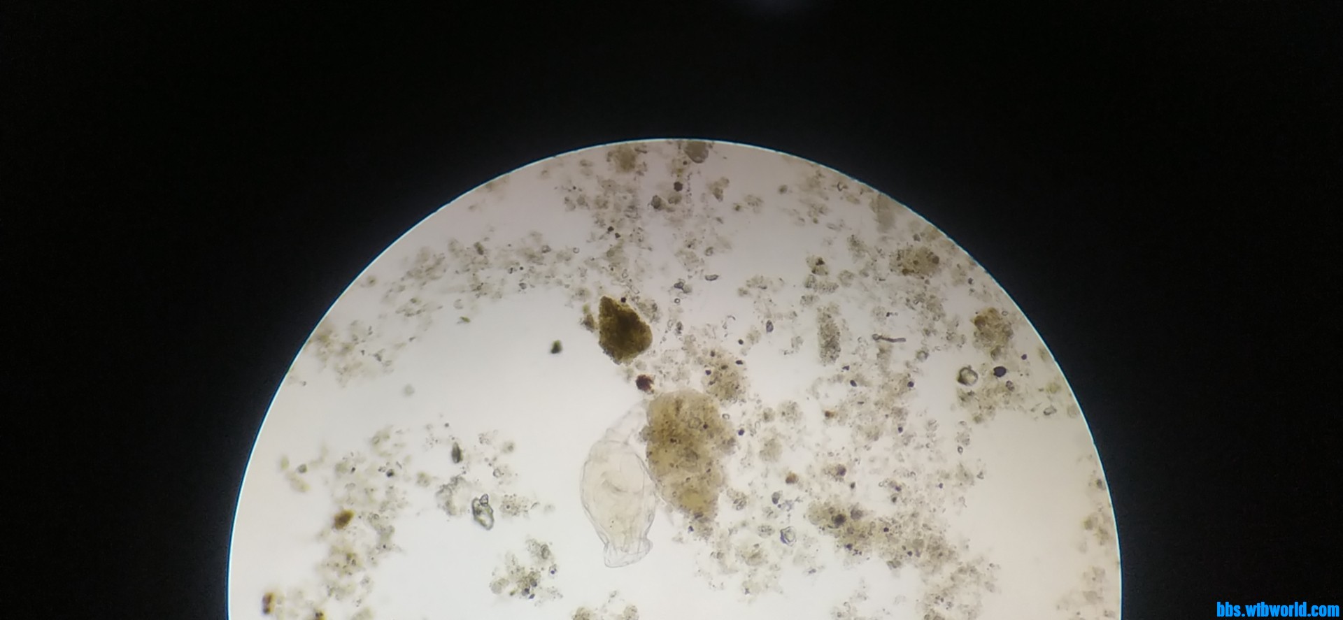 wechat_upload164014337361c29a0d17c63