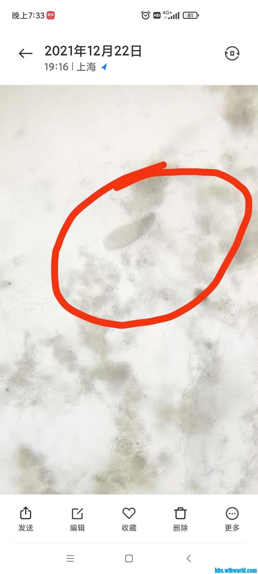 wechat_upload164017285461c30d365258c