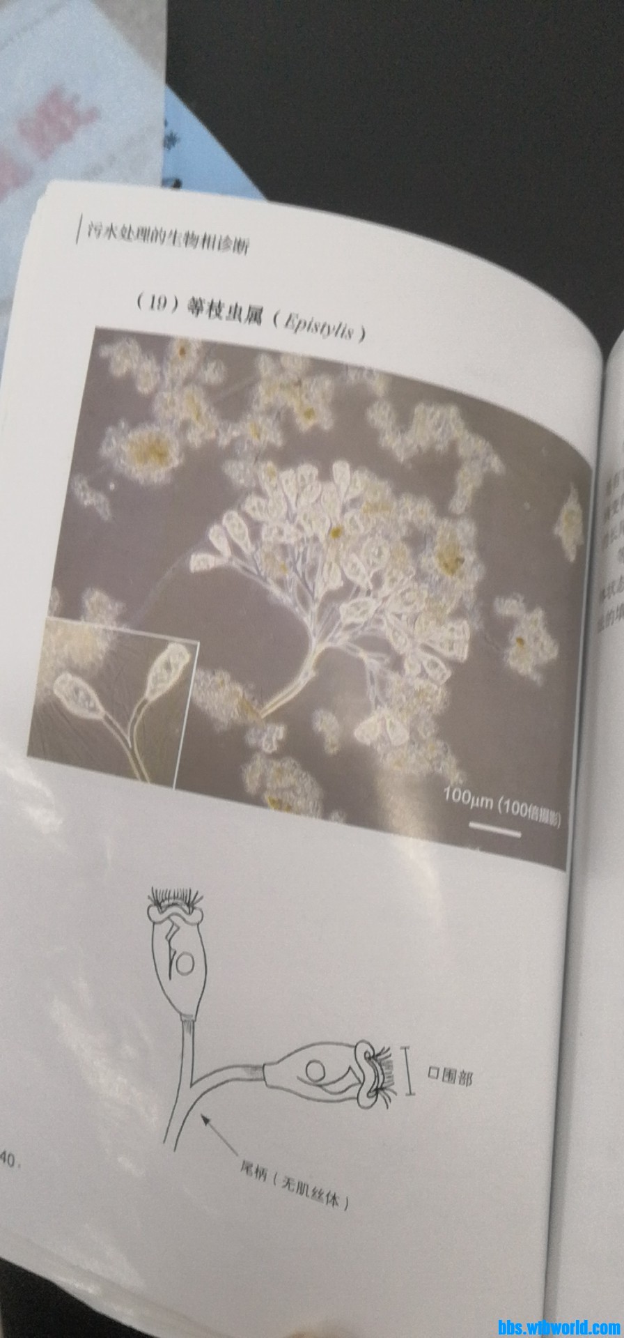 wechat_upload164022386361c3d477dce61