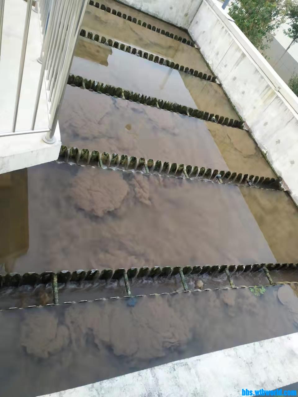 wechat_upload164032603461c563925303a