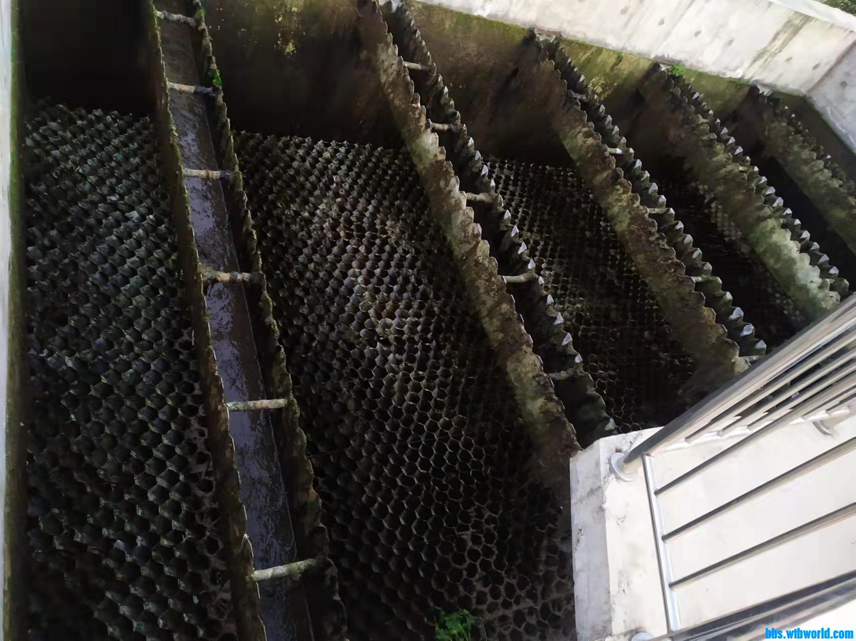 wechat_upload164032603461c5639292341