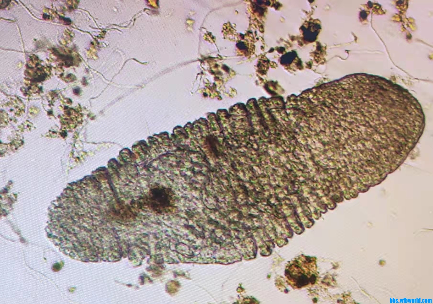 wechat_upload164066234461ca854856108