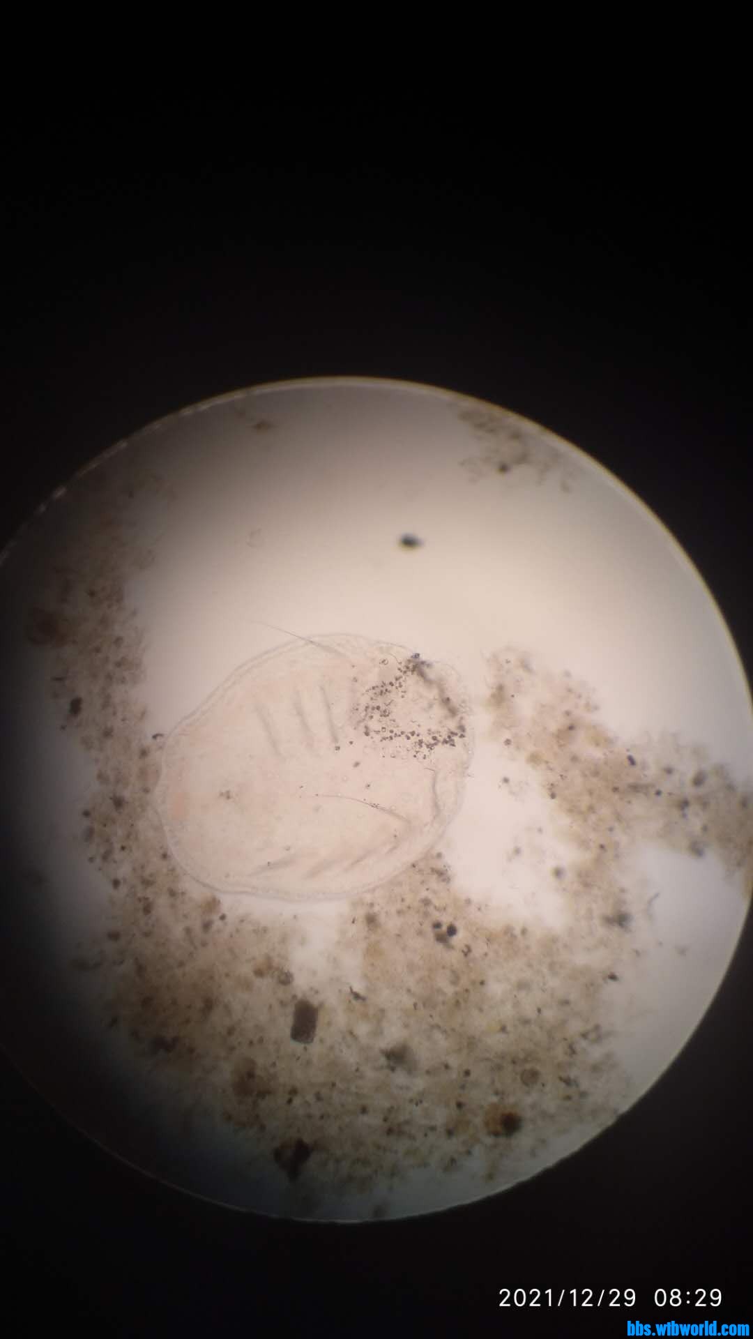 wechat_upload164073863061cbaf46ec9a2