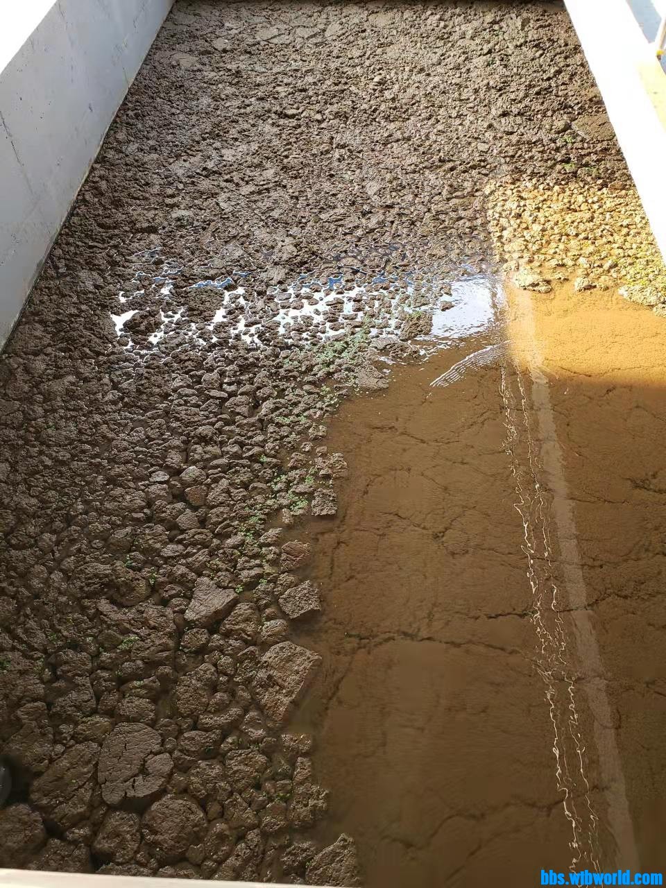 wechat_upload164125804261d39c3a83d85