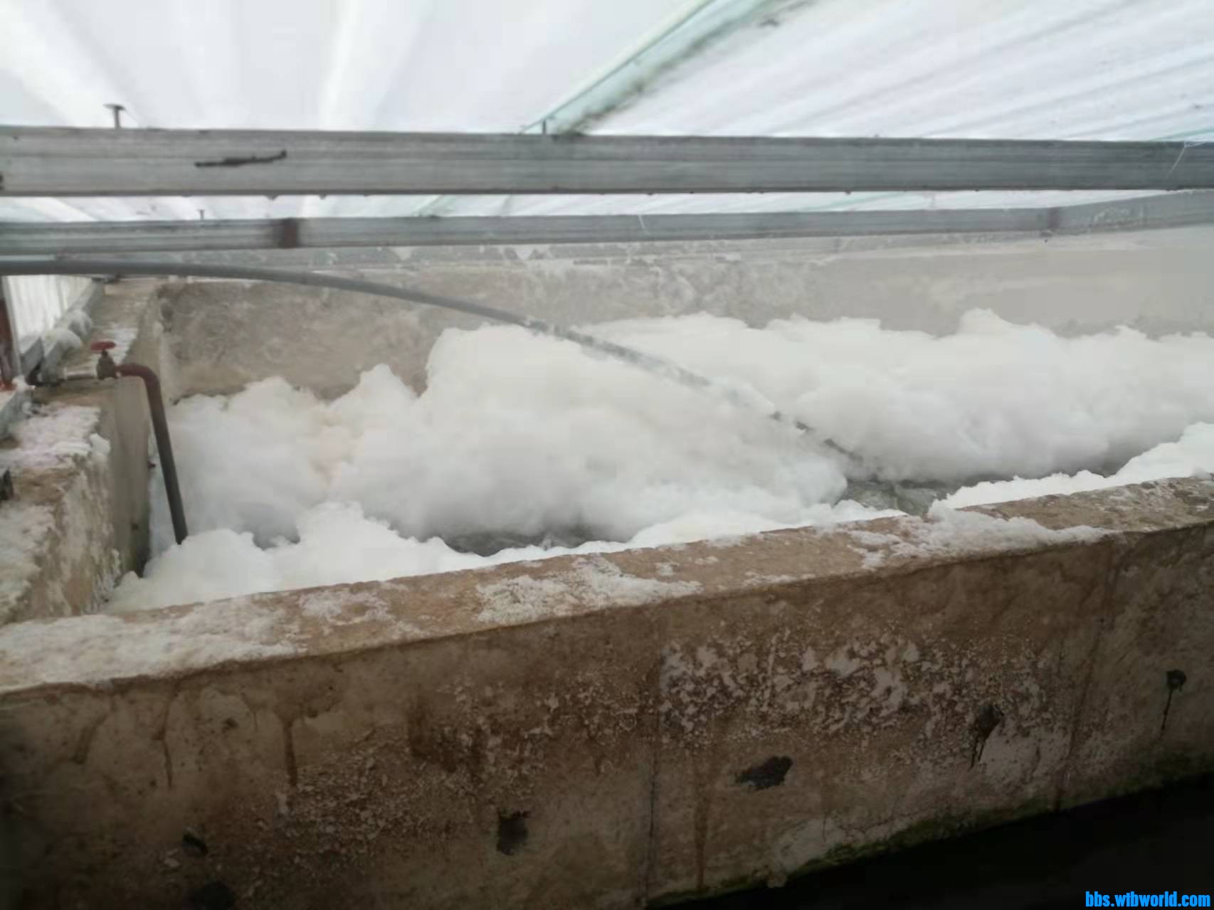 wechat_upload164151937761d7991156bc6