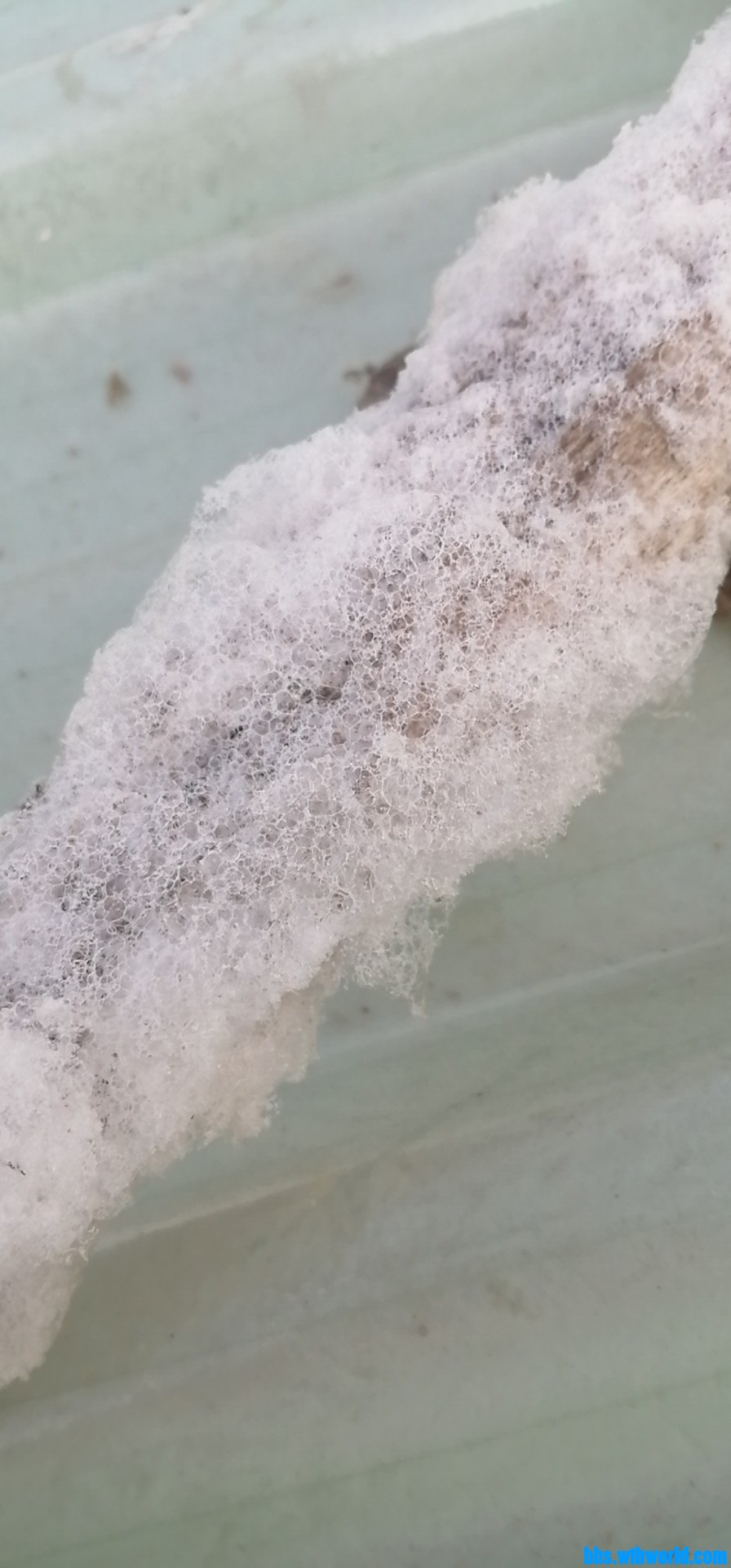 wechat_upload164151939661d799244ca94