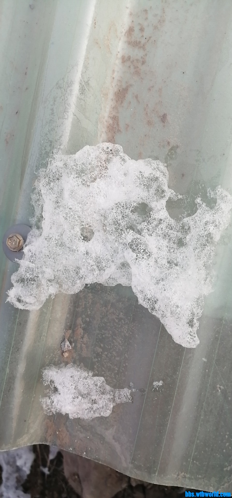 wechat_upload164151940961d7993184411