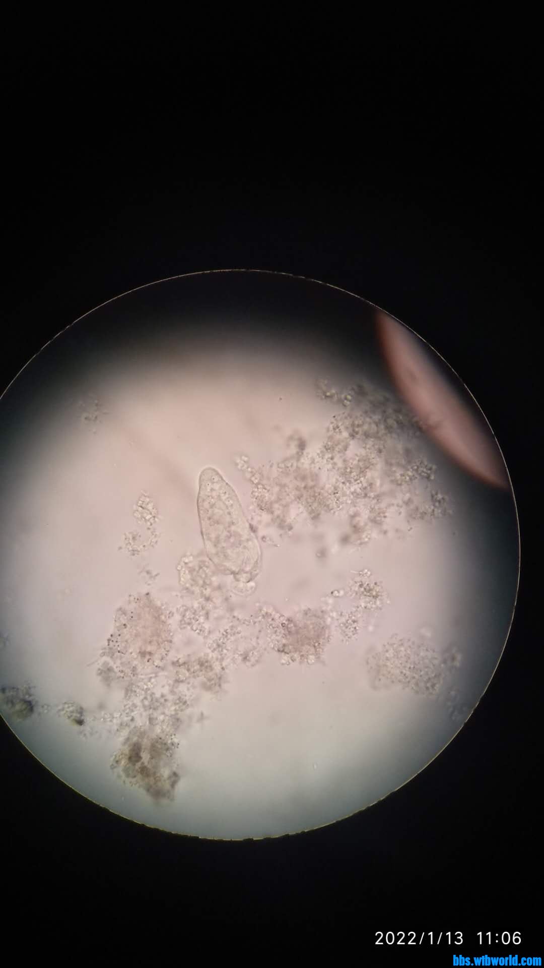 wechat_upload164204464561df9ce5e99ba