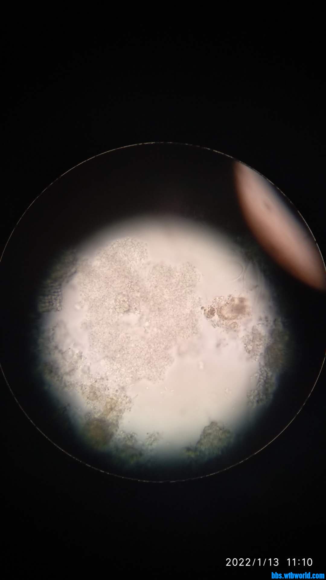 wechat_upload164204464661df9ce633148