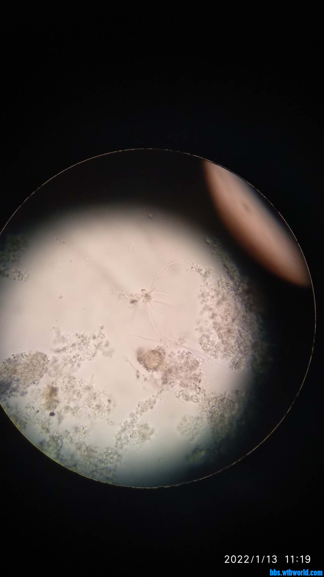 wechat_upload164204464661df9ce6bff68