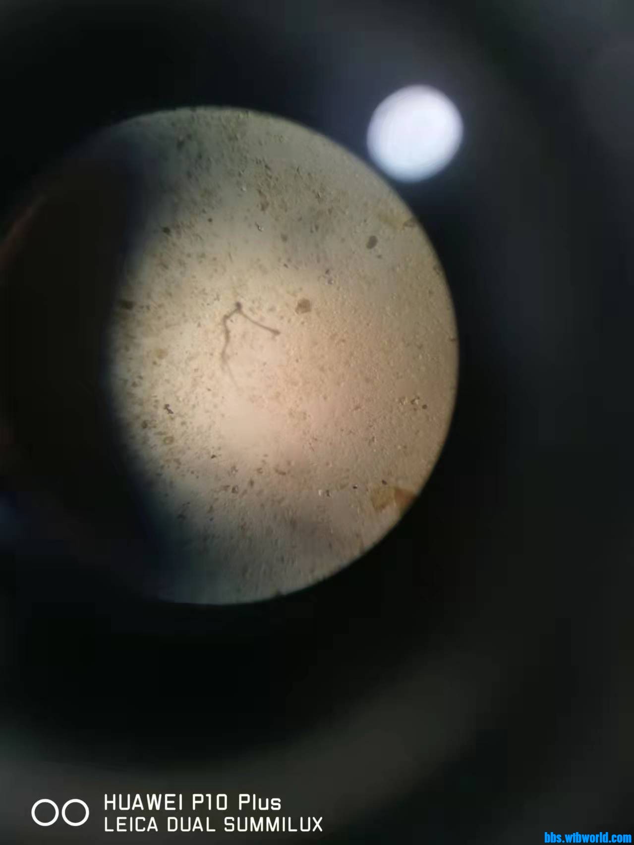 wechat_upload164208109661e02b48d6b1a