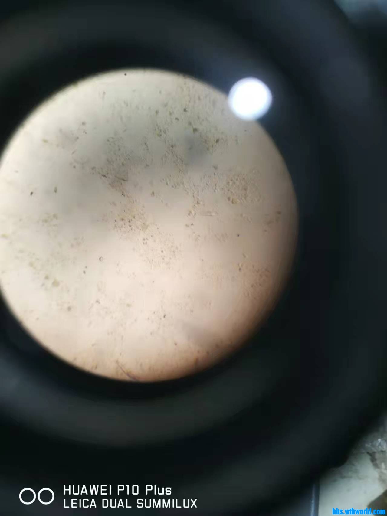 wechat_upload164208109761e02b49719d2