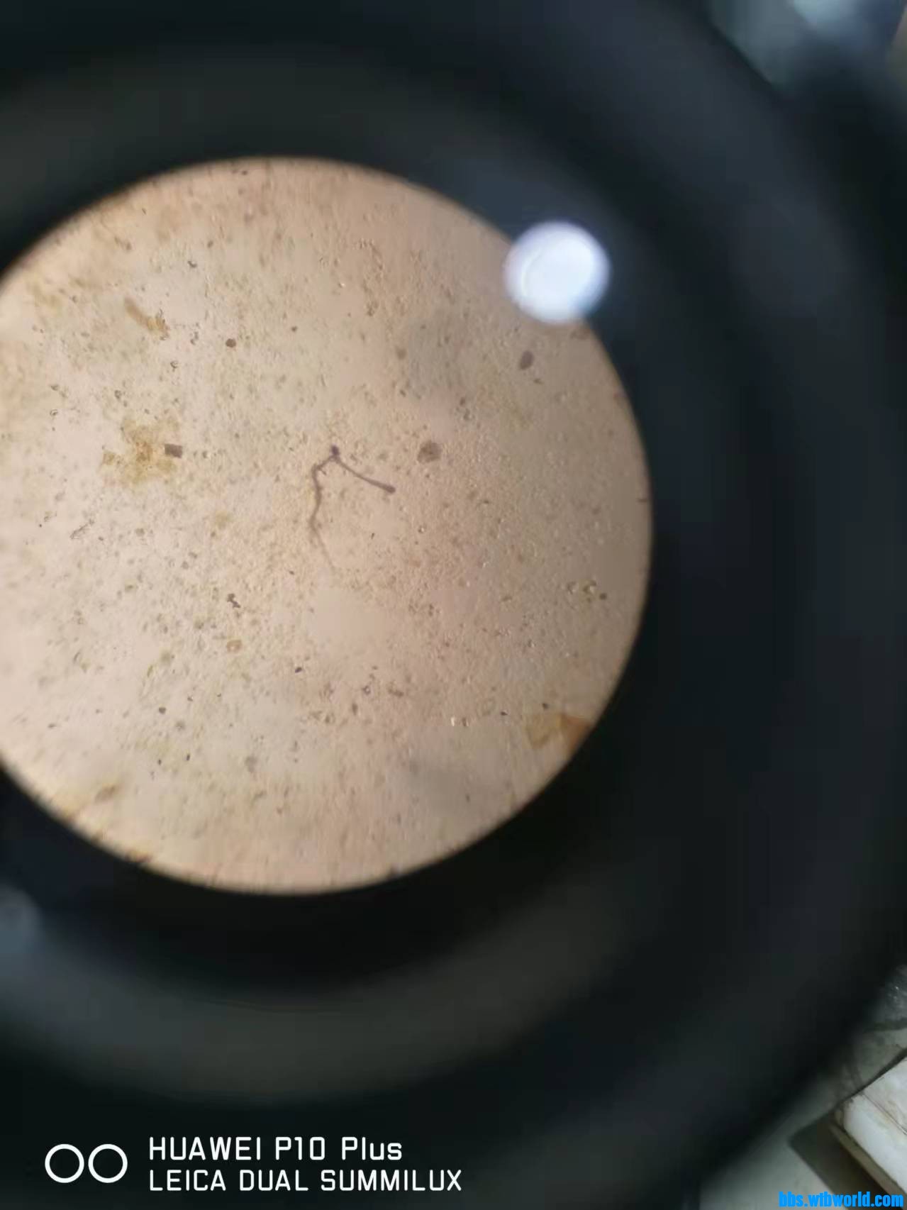 wechat_upload164208109761e02b492cf6e