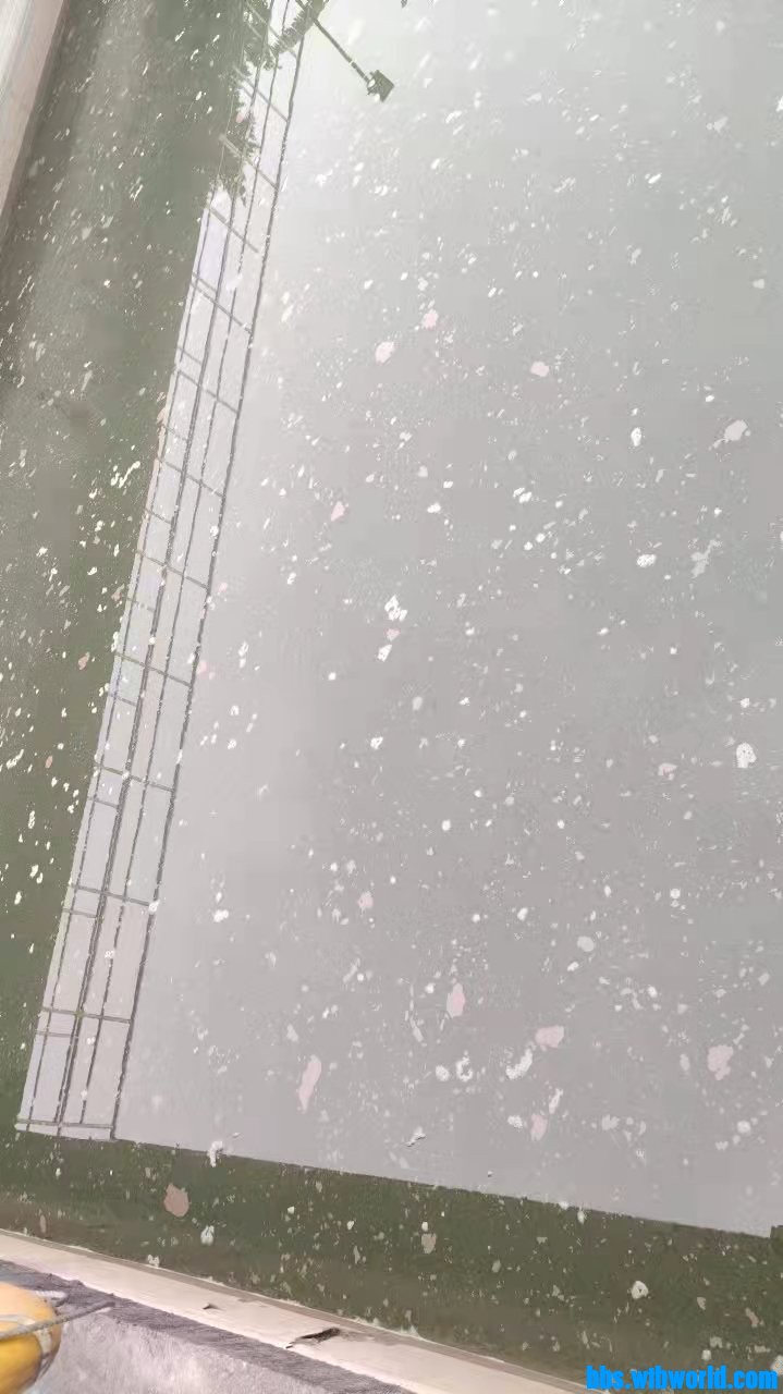 wechat_upload164229530561e37009cb8cf